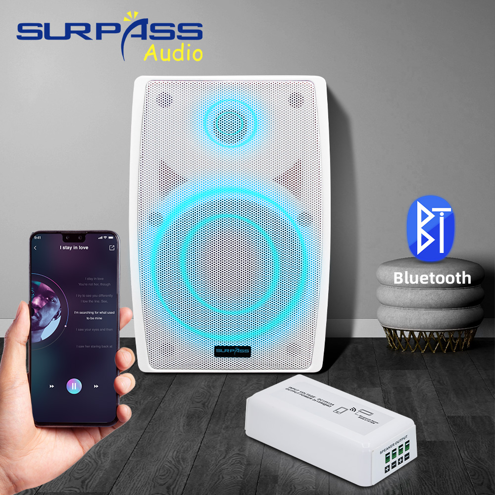 Smart Home Audio Mini Bluetoot - Audio Music Store recensie en prijs