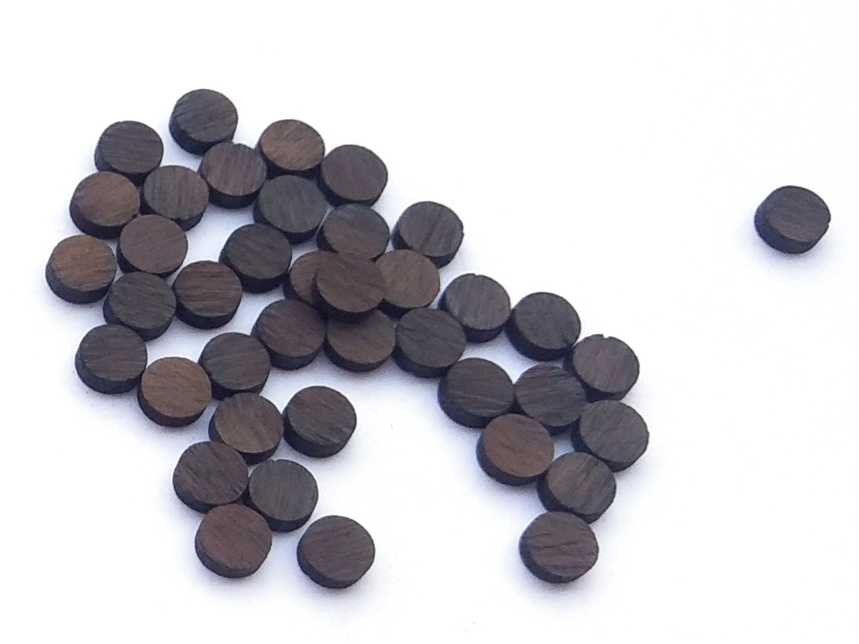 50x Rosewood Dot Marker Positi - Ukulele Beginner Kit recensie en prijs