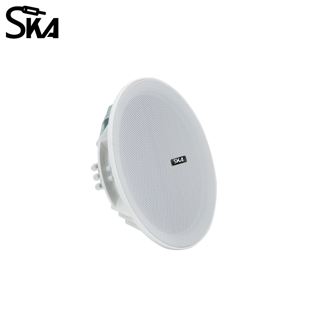 6,5-inch 20W, 8Ω Dual cone-lui - Audio Music Store recensie en prijs