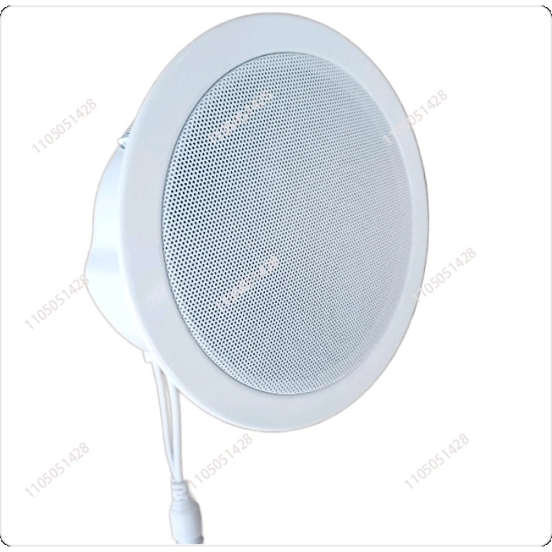 IP-netwerkluidspreker, plaxaud - Audio Music Store recensie en prijs