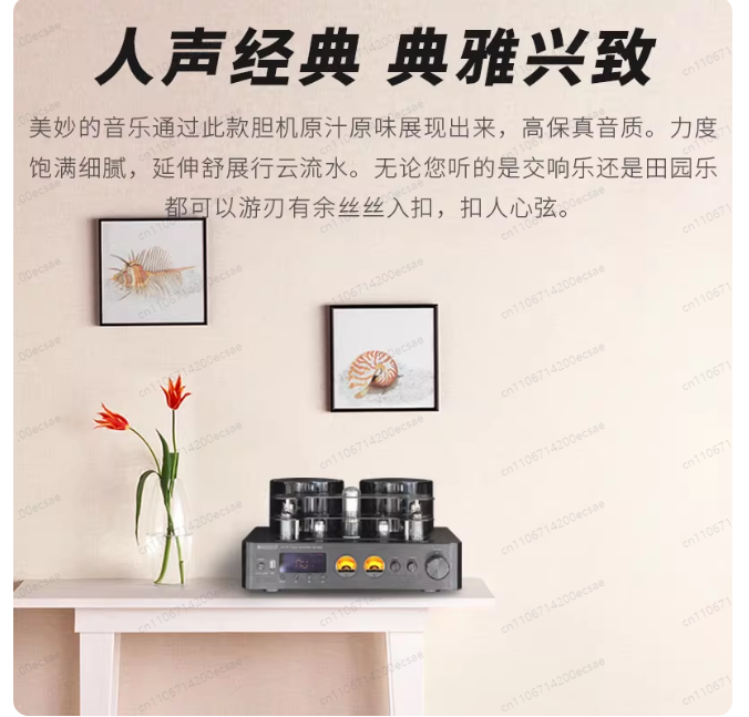 220V 400W * 2 High Fidelity dr - Audio Youtube Music Free recensie en prijs
