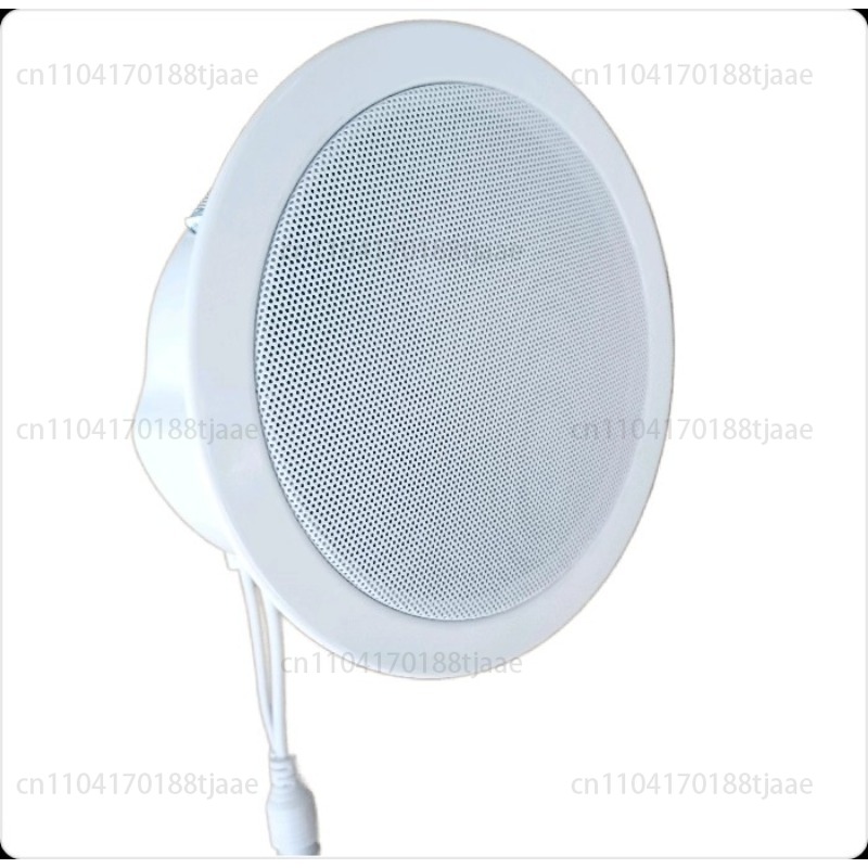 IP-netwerklidspreker, plaxaudi - Audio Music Store recensie en prijs